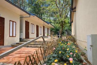 Trúc Linh Homestay - 6