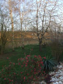 gîte les bois georges - 8