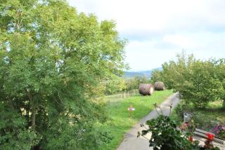 Agroturismo Artola - 5