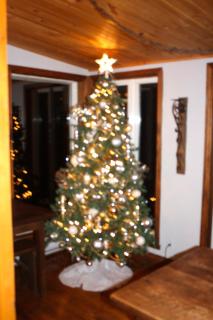 Chalets et Studios Le Vent Du Nord - 0