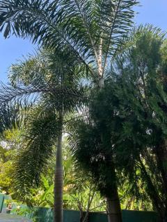 Miringa homestay - 7