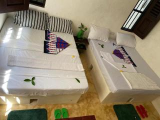 Amani Guest House, Utukuni Lamu Island - 1