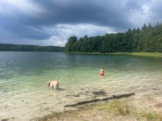 Żurawi klangor dom z sauną i jacuzzi - 8