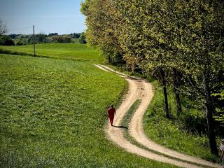 Żurawi klangor dom z sauną i jacuzzi - 3