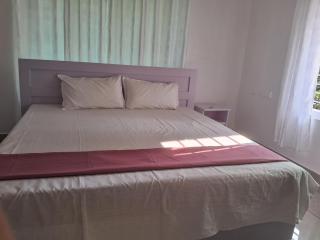 Vishnuvardhagiri white house residency - 9