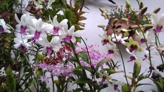 Manuk Dewata Villa - 8