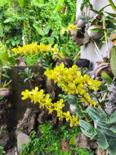 Manuk Dewata Villa - 9