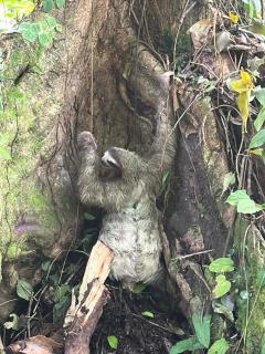 Cabin in the wata - 8