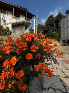 Ishana Mukteshwar - Luxurious Villas - 8