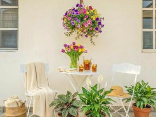 Family Escape l Sleeps 8 l 500m beach l AC l Kitchen l Wifi l Value Stay 5B6B - 5