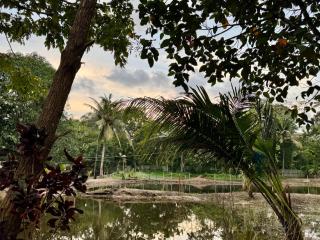 Nettle Trees Farm Stay - 4