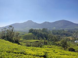 Munnar Valley View - 7