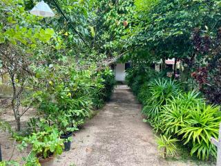 Nettle Trees Farm Stay - 8