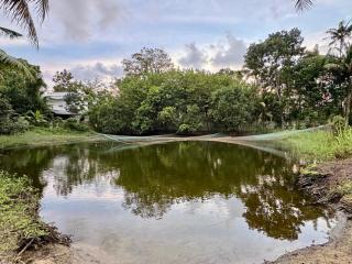 Nettle Trees Farm Stay - 9