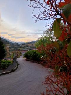Albergo BELVEDERE - 6