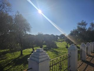 Finca el Berezal - 9