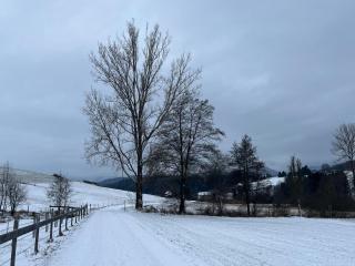 Ferienhaus energieautark in Mariahof - 7