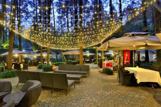 Lotus Glade Hotel - 5