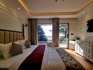 Akasa Dalhousie - Premium Stay Near Mall Road - 9