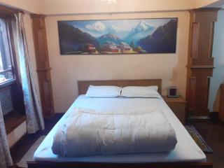 Moonlight guest house and newari food land - 8