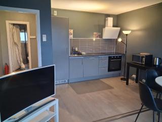 Comfortable apartment in Oslo with three bedrooms - 9