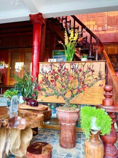 Moc Chau Town - Homestay - 4