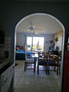 Petit jardin suspendu - 9