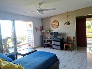 Petit jardin suspendu - 4