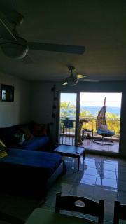 Petit jardin suspendu - 9