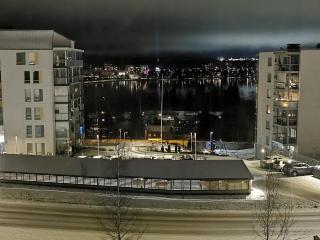 Kolmio järvinäkymin, Palokka - 8