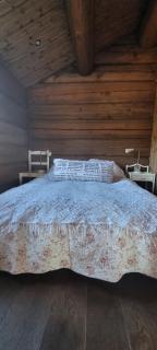 Krøderen Laftet tømmerstue fra 2021 - 4