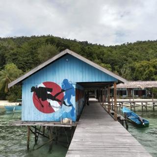 Diving Mansuar and home - 0