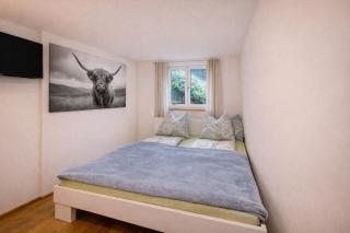 Moderne Ferienwohnung im Herzen von Wolfurt - 7