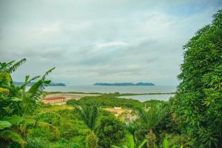 Charming Apartment- Comfort, Forest, Sea and Transport - 2