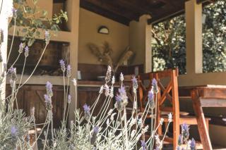 Casa de Buda Chapadmalal - 4