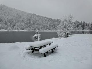 Cozy ground floor apartment - 4