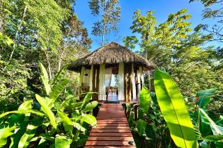 Finca Terra Incognita - Wood cabins in the jungle - Puerto Jiménez - 9