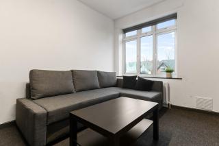 Spacious Quiet - 1 Bedroom Flat - 4