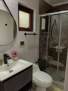 Cabañas Los Volcanes Ensenada Puerto Varas - 3