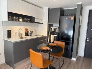 Modern 1D1B with Style Full Living Room and Kitchen - 3