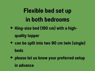 Baham-Apartment Nuernberg - including hot tub, sauna, massage chair, roof terrace, barbecue - metro 15 min, exhibition center 8 min walk - 1