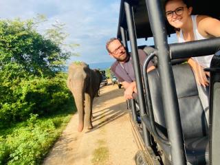 suncity privacy cottages - 6