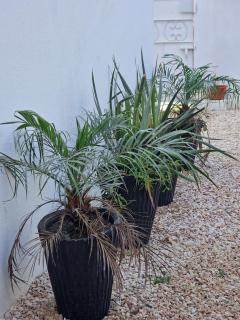 maison de charme entre mer et montagnes - Aourir - 6