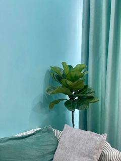 The TimeGarden Ha Long Homestay - 8