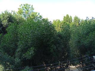 Rafe Guest House - 9