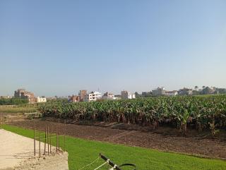 Rafe Guest House - 5