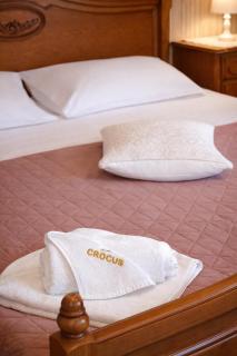 Pensiunea Crocus - Sauna & Billiard - 2