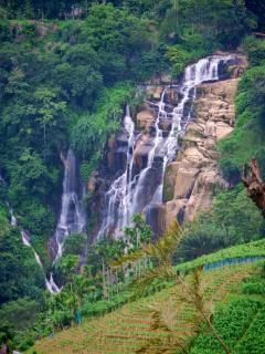 Liora Lodge Ella - 8