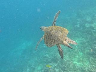 Carliza Nature Lodge - 5