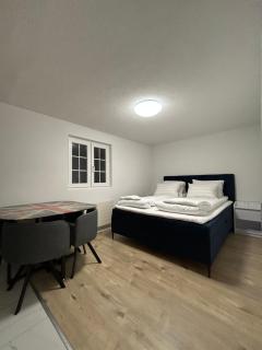 WEF and Ski Luxury Apartment AK - 7